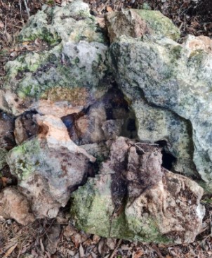 HALLAN CENOTE CON MÁS CADÁVERES CERCA DE FOSAS CLANDESTINAS REPORTADAS POR LA FISCALÍA EN ZONA CONURBADA DE CANCÚN