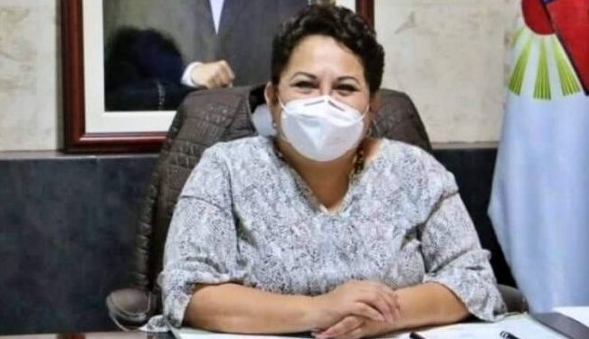 CONVOCAN A SESIÓN DE CABILDO PARA APROBAR LICENCIA MÉDICA DE SOFÍA ALCOCER