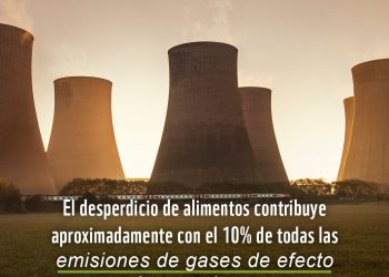 EL MUNDO DESPERDICIA CERCA DEL 40% DE LOS ALIMENTOS CULTIVADOS: WORLD WILDLIFE FUND