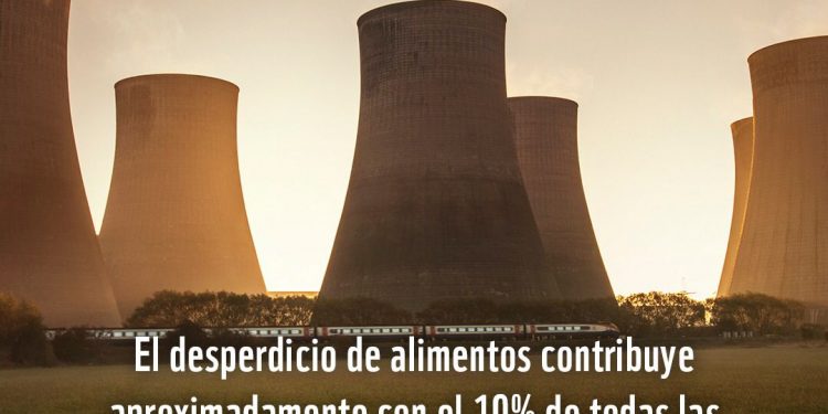 EL MUNDO DESPERDICIA CERCA DEL 40% DE LOS ALIMENTOS CULTIVADOS: WORLD WILDLIFE FUND