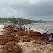 CONTINÚAN LABORES DE RETIRO DE SARGAZO Y LIMPIEZA DE PLAYAS&nbsp;