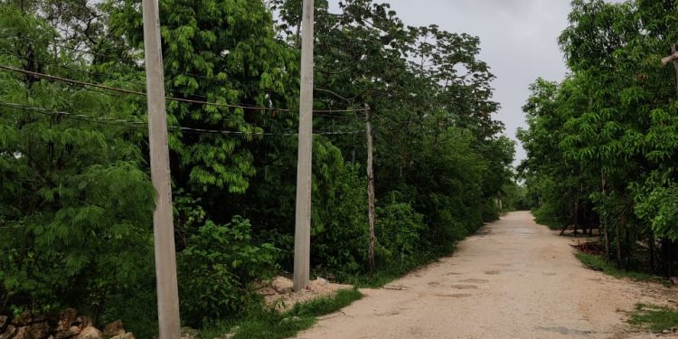 AVANZA MODERNIZACIÓN DE COMUNIDADES MAYAS