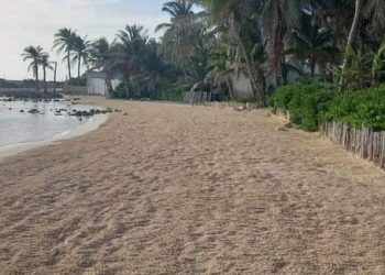 LUCE ISLA MUJERES PLAYAS LIMPIAS Y LIBRES DE SARGAZO