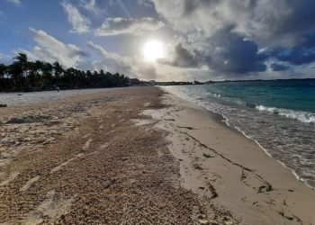 MANTIENEN LIMPIAS LAS PLAYAS DE ISLA MUJERES