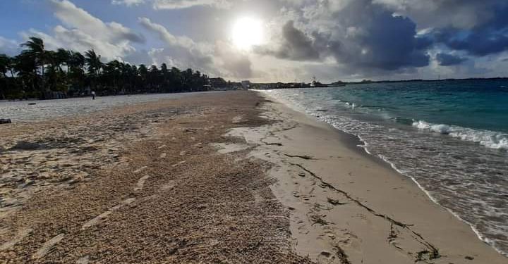 MANTIENEN LIMPIAS LAS PLAYAS DE ISLA MUJERES