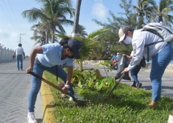 CONMEMORAN EN ISLA MUJERES EL “DÍA NACIONAL DEL ÁRBOL” CON JORNADA DE REFORESTACIÓN