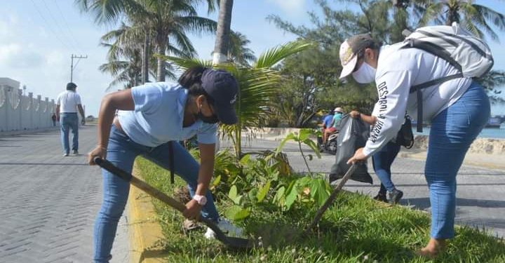 CONMEMORAN EN ISLA MUJERES EL “DÍA NACIONAL DEL ÁRBOL” CON JORNADA DE REFORESTACIÓN