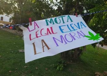 YUCATECOS TRAMITAN AMPAROS PARA QUE LES PERMITAN CULTIVAR MARIHUANA