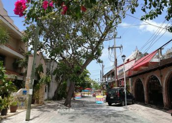 LA CANÍCULA ES UN PERIODO DE ALTAS TEMPERATURAS: ADRIÁN MARTÍNEZ ORTEGA