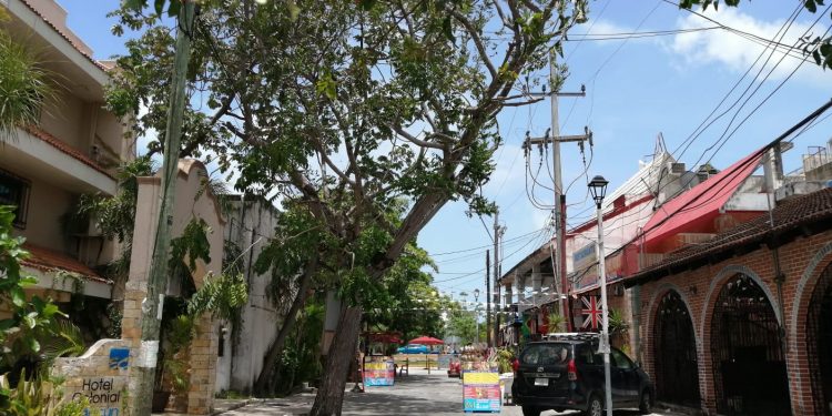 LA CANÍCULA ES UN PERIODO DE ALTAS TEMPERATURAS: ADRIÁN MARTÍNEZ ORTEGA