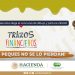 LANZA CONDUSEF CONCURSO DE DIBUJO INFANTIL