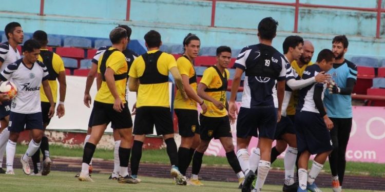 VENADOS DE YUCATÁN, SINODAL DE CANCÚN FC, PREVIO A SU DEBUT