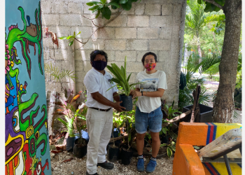 HOTEL BAHÍA PRÍNCIPE EN LA RIVIERA MAYA CELEBRA EL “DÍA DEL ÁRBOL”