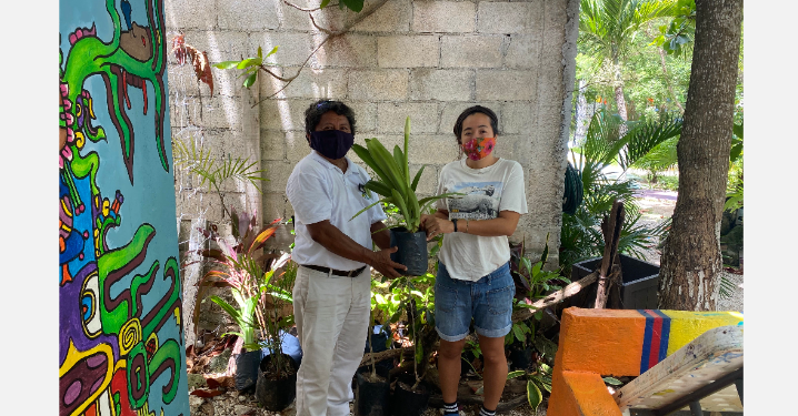 HOTEL BAHÍA PRÍNCIPE EN LA RIVIERA MAYA CELEBRA EL “DÍA DEL ÁRBOL”