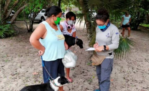 FUNDACIÓN PEDRO Y ELENA HERNÁNDEZ FOMENTA LA ESTERILIZACIÓN DE PERROS Y GATOS PARA PROTEGER LA RESERVA DE LA BIOSFERA RÍA LAGARTOS