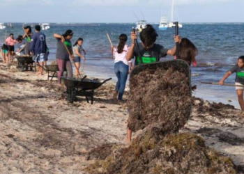 COMUNIDAD RELIGIOSA SE UNE A JORNADA DE LIMPIEZA DE PLAYAS EN PUERTO MORELOS