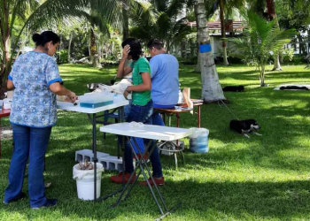 PREPARAN CAMPAÑA DE ESTERILIZACIÓN DE ANIMALES EN UCUM