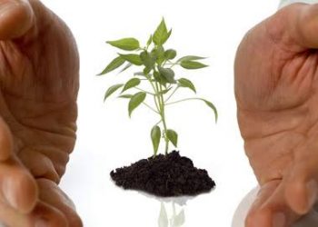 REANUDAN LA CAPACITACIÓN DE MAESTROS EN LAS JORNADAS DE EDUCACIÓN AMBIENTAL