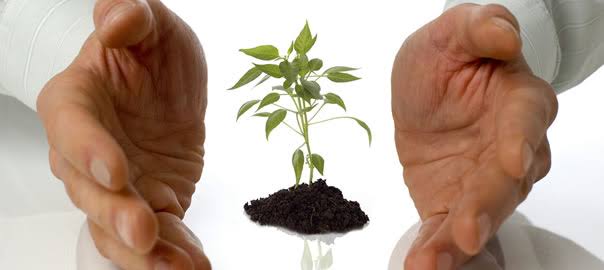 REANUDAN LA CAPACITACIÓN DE MAESTROS EN LAS JORNADAS DE EDUCACIÓN AMBIENTAL