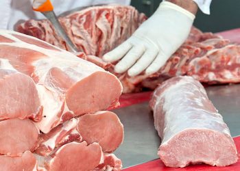 YUCATECOS DEJAN DE COMPRAR CARNE ANTE EL AUMENTO DE SU PRECIO