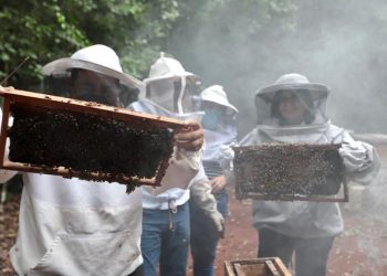 MAYULI MARTÍNEZ VISITA COMUNIDADES APÍCOLAS EN EL SUR DEL ESTADO