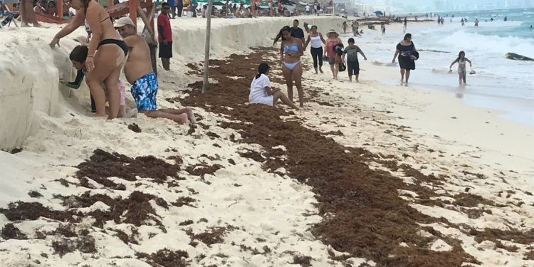 HOY SE REPORTAN 480 NUEVOS CONTAGIOS Y 16 DECESOS POR CORONAVIRUS