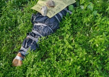 HOMICIDIO EN EL SUR CON VIOLENCIA
