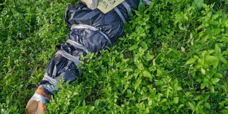 HOMICIDIO EN EL SUR CON VIOLENCIA