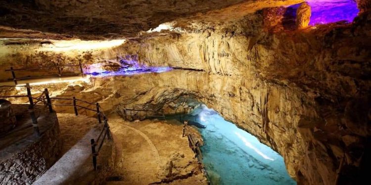 ABREN ECOPARQUE CON TODO Y CENOTE EN YUCATÁN