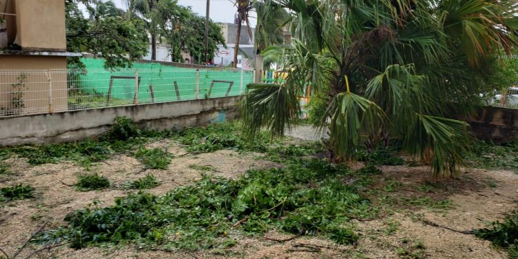 UN MILLÓN 700 DE PÉRDIDAS POR “GRACE”