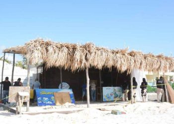 DESMONTAN LOCAL DE MASAJES Y PALAPAS EN PLAYA DELFINES DE CANCÚN