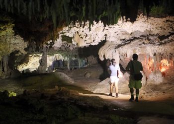 ENTREGA TRIP ADVISOR PREMIOS TRAVELER’S CHOICE 2021 A VARIOS PARQUES Y RESERVAS DE QUINTANA ROO