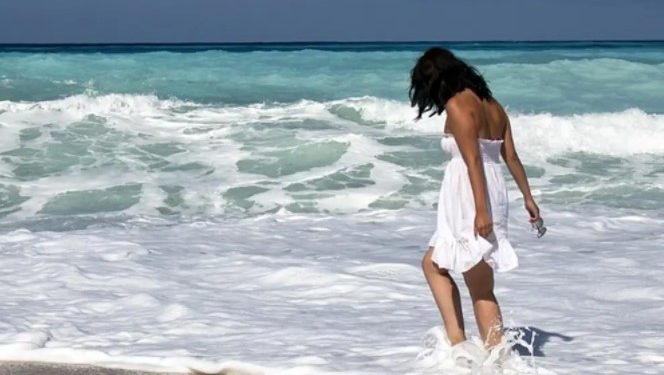 EMPRESARIOS INSISTEN EN RECHAZAR INICIATIVA DE REDUCIR DERECHO DE ZONA FEDERAL