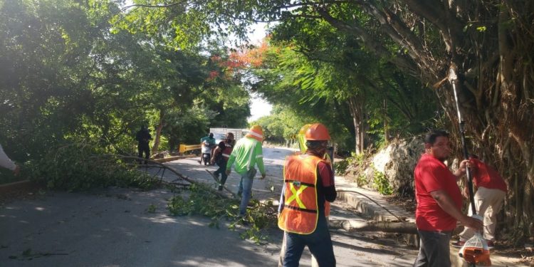PREPARADOS Y ATENTOS EN ISLA MUJERES POR LA TORMENTA TROPICAL “GRACE”