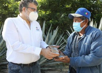 APICULTORES YUCATECOS SON RESPALDADOS POR VILA DOSAL CON LA ENTREGA DE ABEJAS REINA PARA IMPULSAR LA PRODUCCIÓN DE MIEL