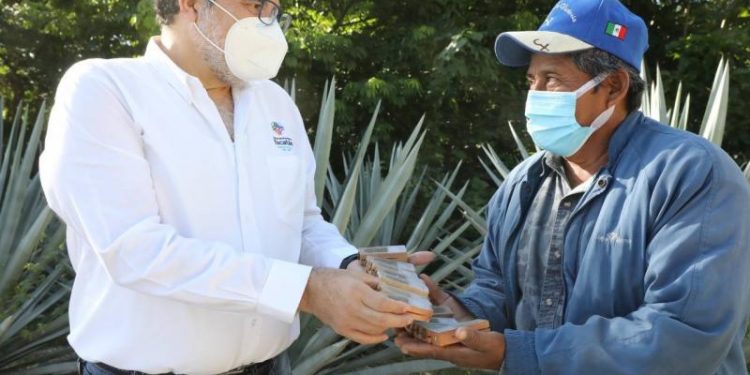 APICULTORES YUCATECOS SON RESPALDADOS POR VILA DOSAL CON LA ENTREGA DE ABEJAS REINA PARA IMPULSAR LA PRODUCCIÓN DE MIEL