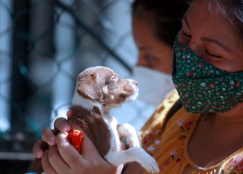 FOMENTA GOBIERNO DE BENITO JUAREZ ADOPCIÓN CANINA RESPONSABLE