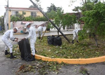 CONTINÚAN LAS LABORES DE LIMPIEZA Y LAS ACCIONES DE RESTAURACIÓN EN TULUM, LUEGO DEL HURACÁN «GRACE».