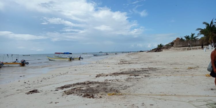 CONTINÚAN LABORES DE LIMPIEZA DE PLAYAS EN TULUM