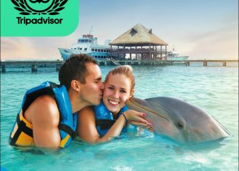 PARQUES, HÁBITATS Y MARINAS DE THE DOLPHIN COMPANY SON GALARDONADAS POR TRAVELER’S CHOICE AWARDS DE TRIPADVISOR