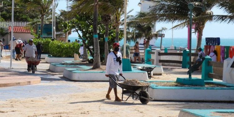REALIZAN OPERATIVO DE LIMPIEZA EN PUERTO MORELOS