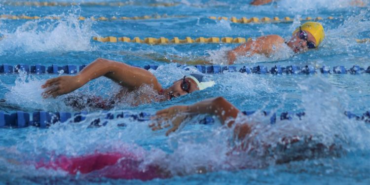 CIRCUITO ESTATAL DE NATACIÓN EN QUINTANA ROO
