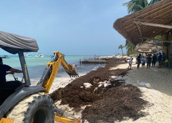 TRABAJA GOBIERNO DE ISLA MUJERES EN EL RETIRO DE SARGAZO EN PLAYA NORTE