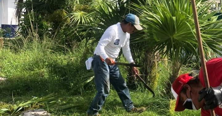 TRABAJA PARQUES Y JARDINES EN EL CUIDADO DE LAS ÁREAS VERDES EN ISLA MUJERES