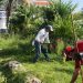 TRABAJA PARQUES Y JARDINES EN EL CUIDADO DE LAS ÁREAS VERDES EN ISLA MUJERES