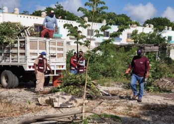 INICIAN LAS JORNADAS DE RECUPERACIÓN DE ESCUELAS EN QUINTANA ROO