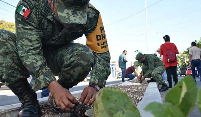 ARRANCA PRIMERA JORNADA DE REFORESTACIÓN DE PLANTAS DE CIRICOTE DENOMINADA ‘CIRICOTHON’