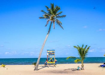 REPORTAN 224 NUEVOS CASOS DE COVID-19 Y EL DECESO DE 11 PERSONAS MÁS EN QUINTANA ROO