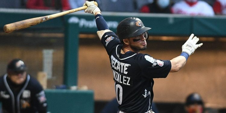 TIGRES DE QUINTANA ROO GANA Y ASEGURA BOLETO A PLAYOFFS