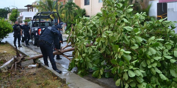 REACCIÓN INMEDIATA DE LA POLICÍA DE SOLIDARIDAD TRAS EL PASO DE “GRACE”